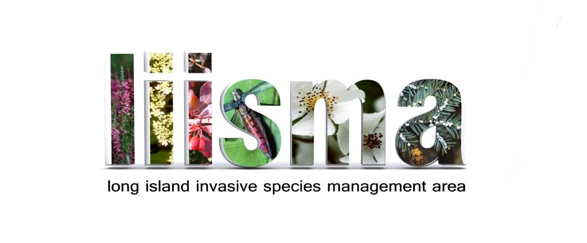 Long Island Invasive Species Management Area / Long Island Native Plant Initiative project image