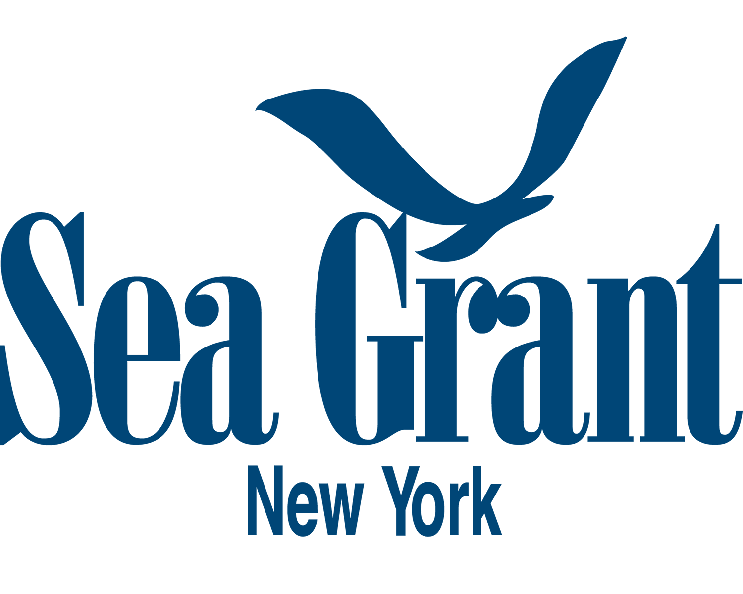 New York Sea Grant project image