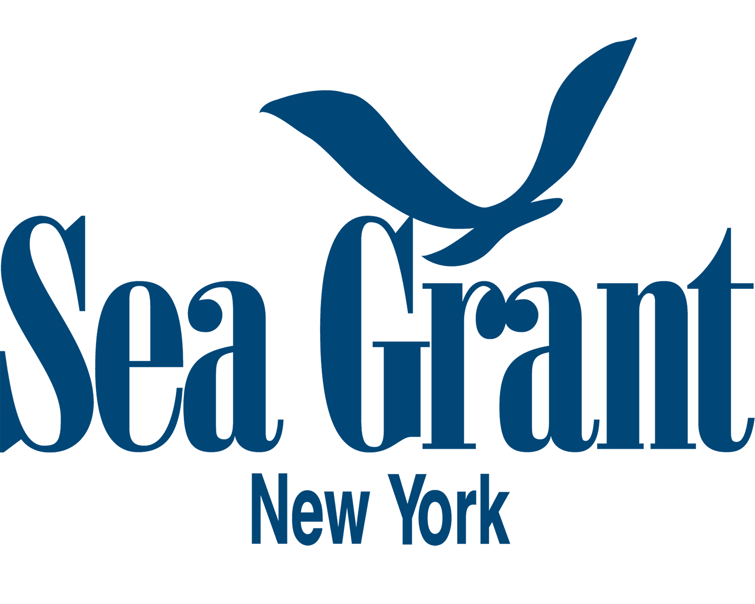 New York Sea Grant Maker Picture