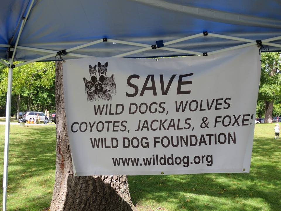 Wild Dog Foundation  Maker Picture