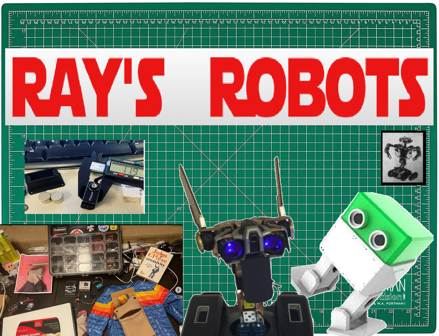 Ray's Robots