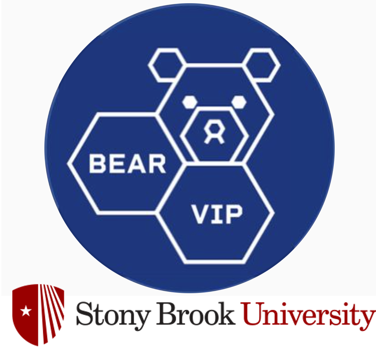 VIP BEAR and Friends from Stony Brook University project image