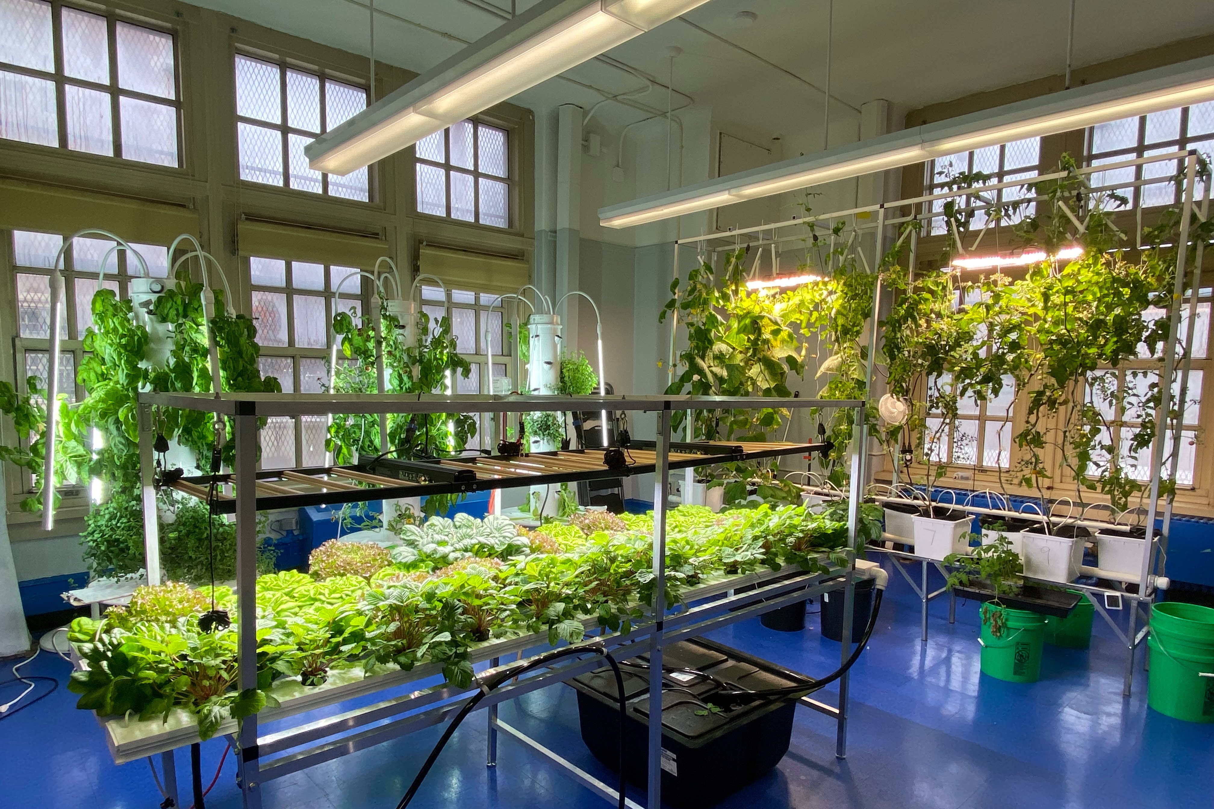 NY Sun Works Hydroponic Classrooms project image