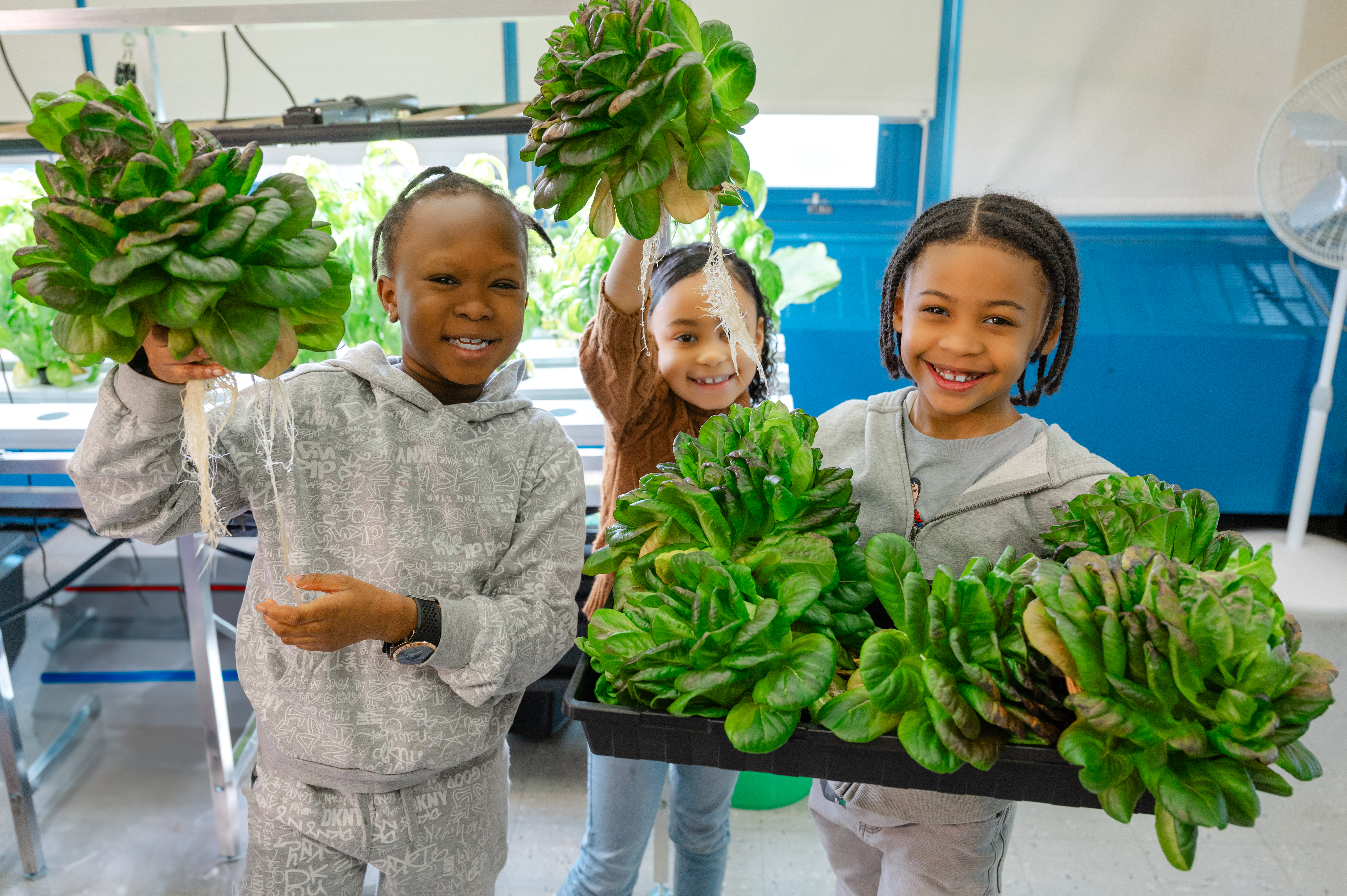 NY Sun Works Hydroponic Classrooms - exhibit detail 1