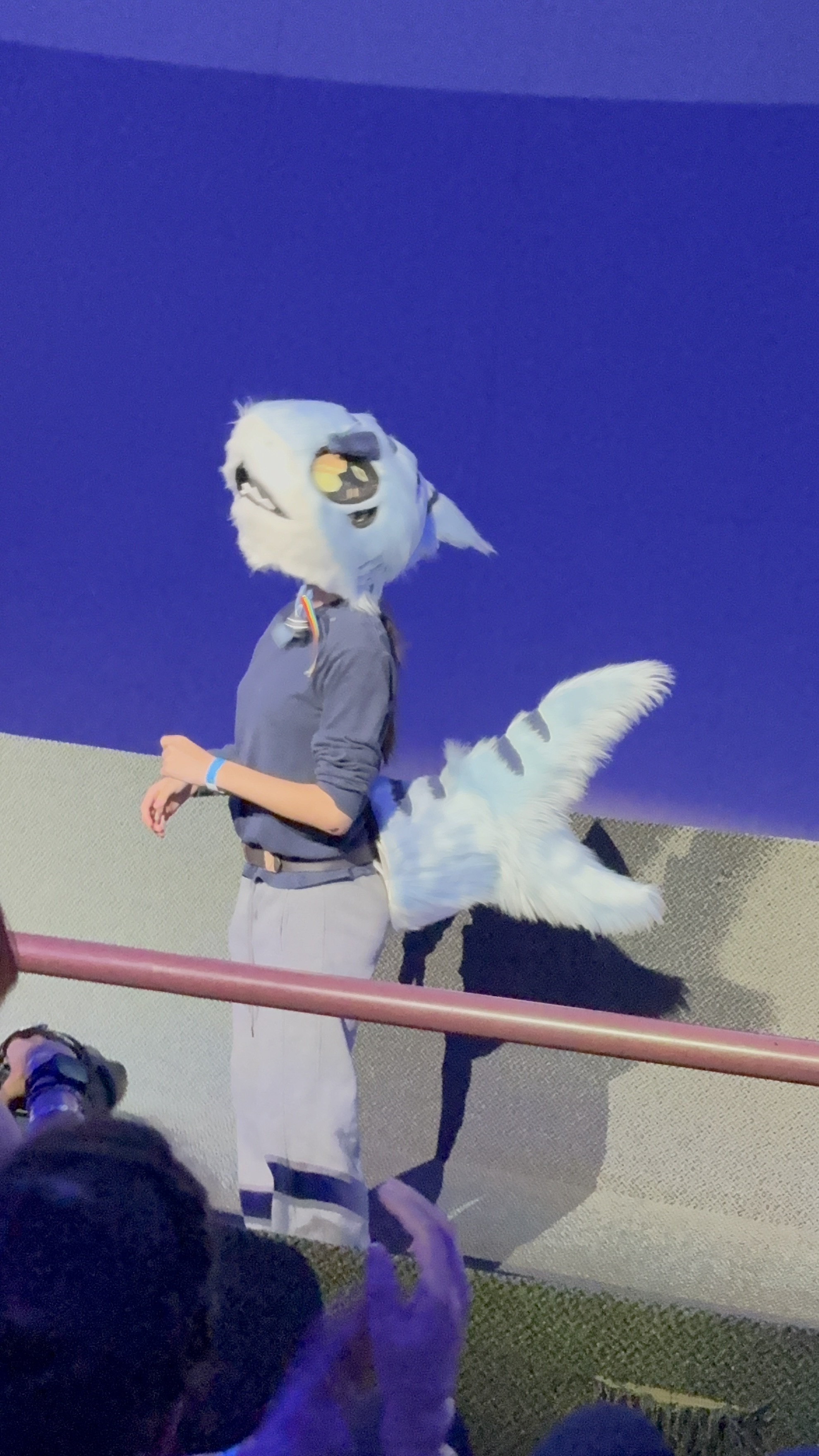 Davros Chair - exhibit detail 0