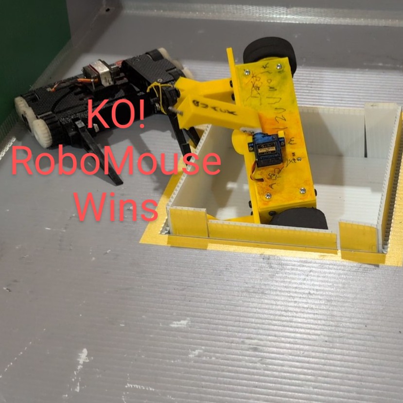 Tam Robotics Open Air competition - exhibit detail 3