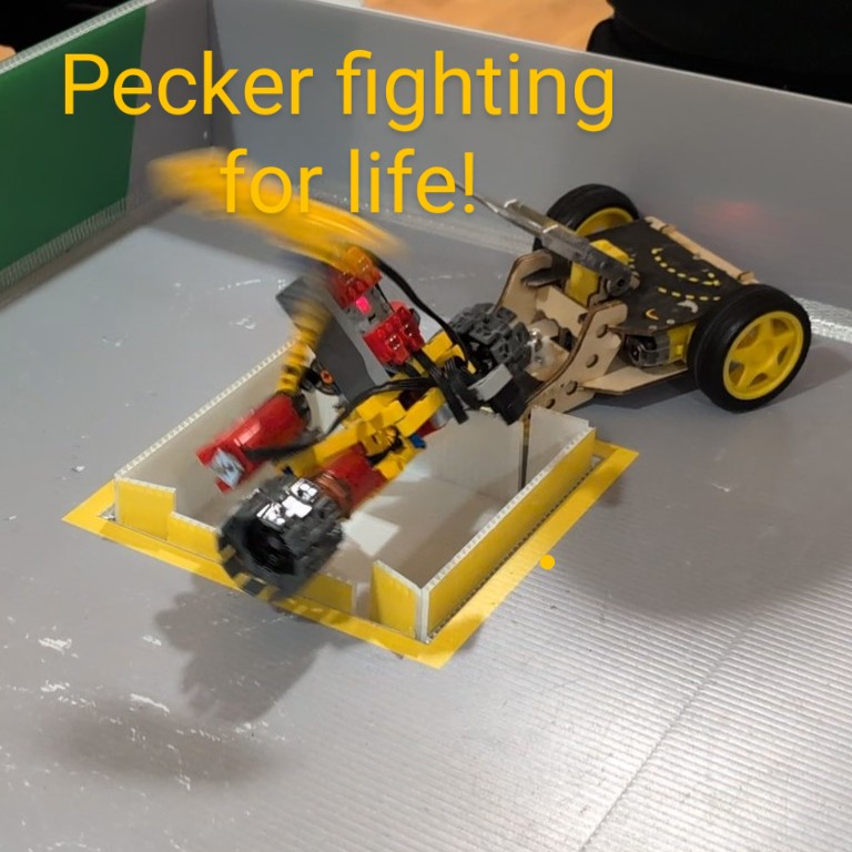 Tam Robotics Open Air competition - exhibit detail 1