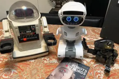 Ray's Robots project image